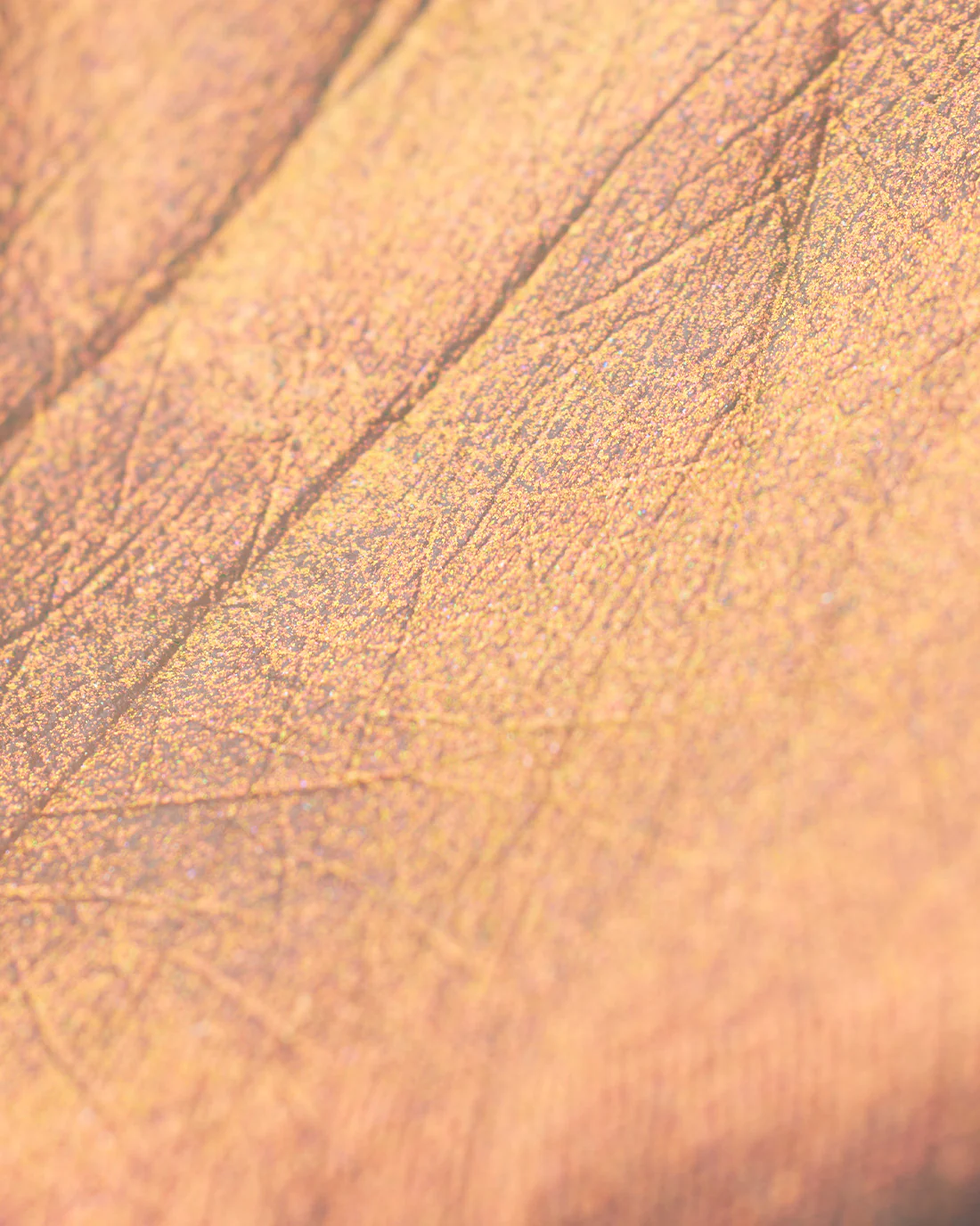 Midsummer Fairytales Liquid Highlighter (Multichrome) - Image 21