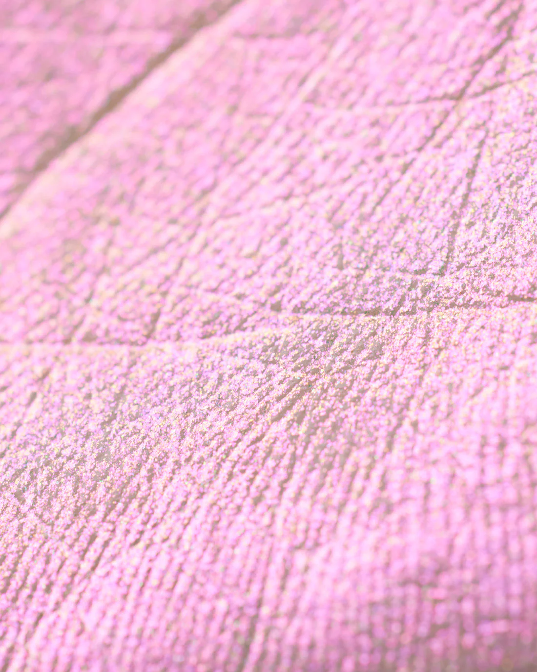 Midsummer Fairytales Liquid Highlighter (Multichrome) - Image 29